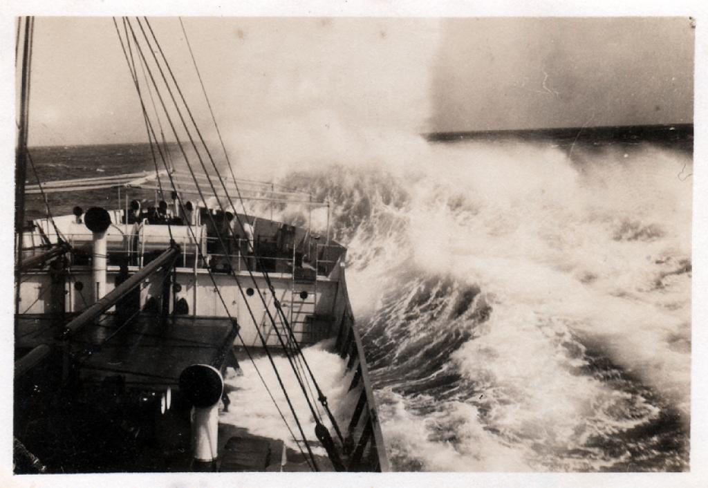 1929