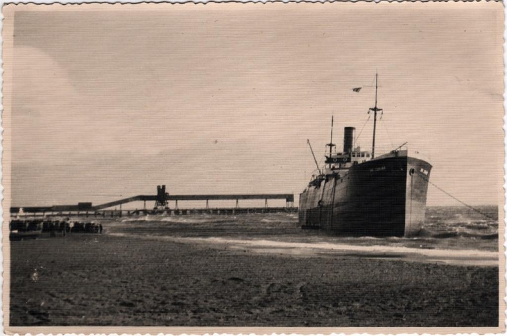 1954