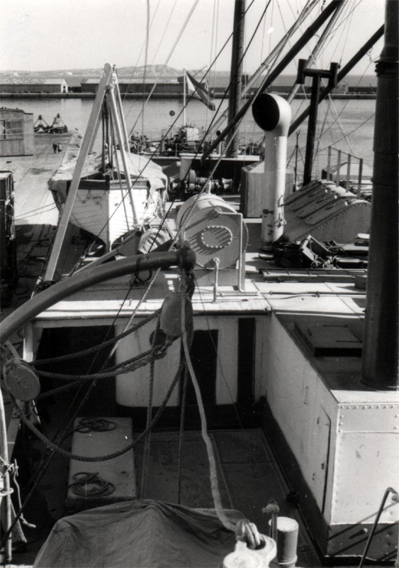 1961